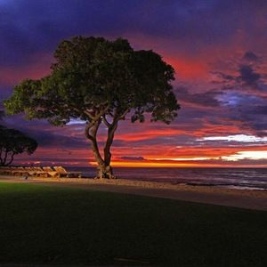 Meet your Posher, Modali